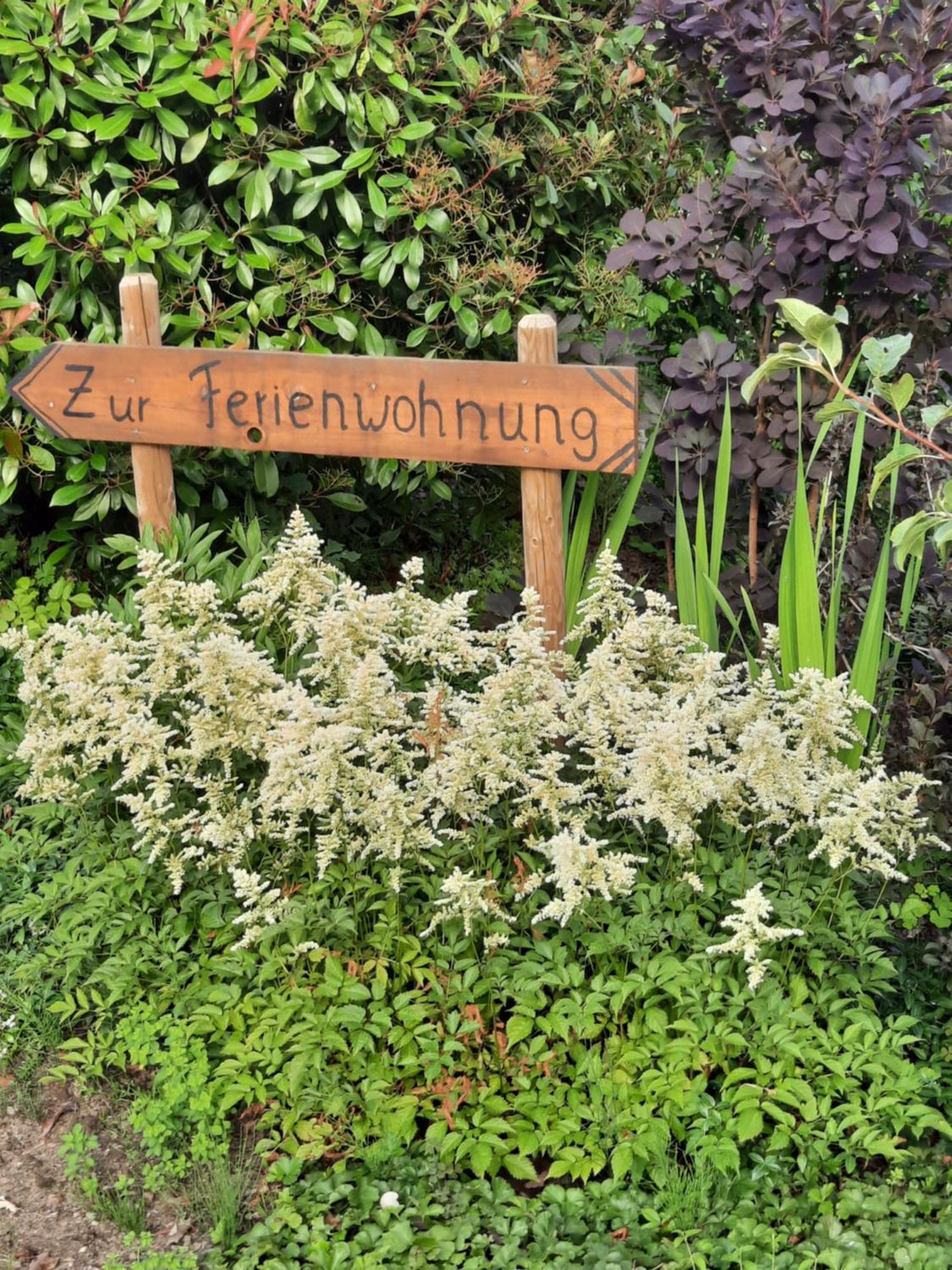 Ferienwohnung Van Den Berg 레스 외부 사진